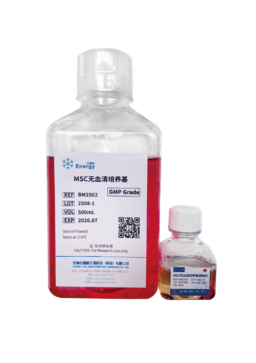 GMP级—人间充质干细胞（MSC）培养试剂盒